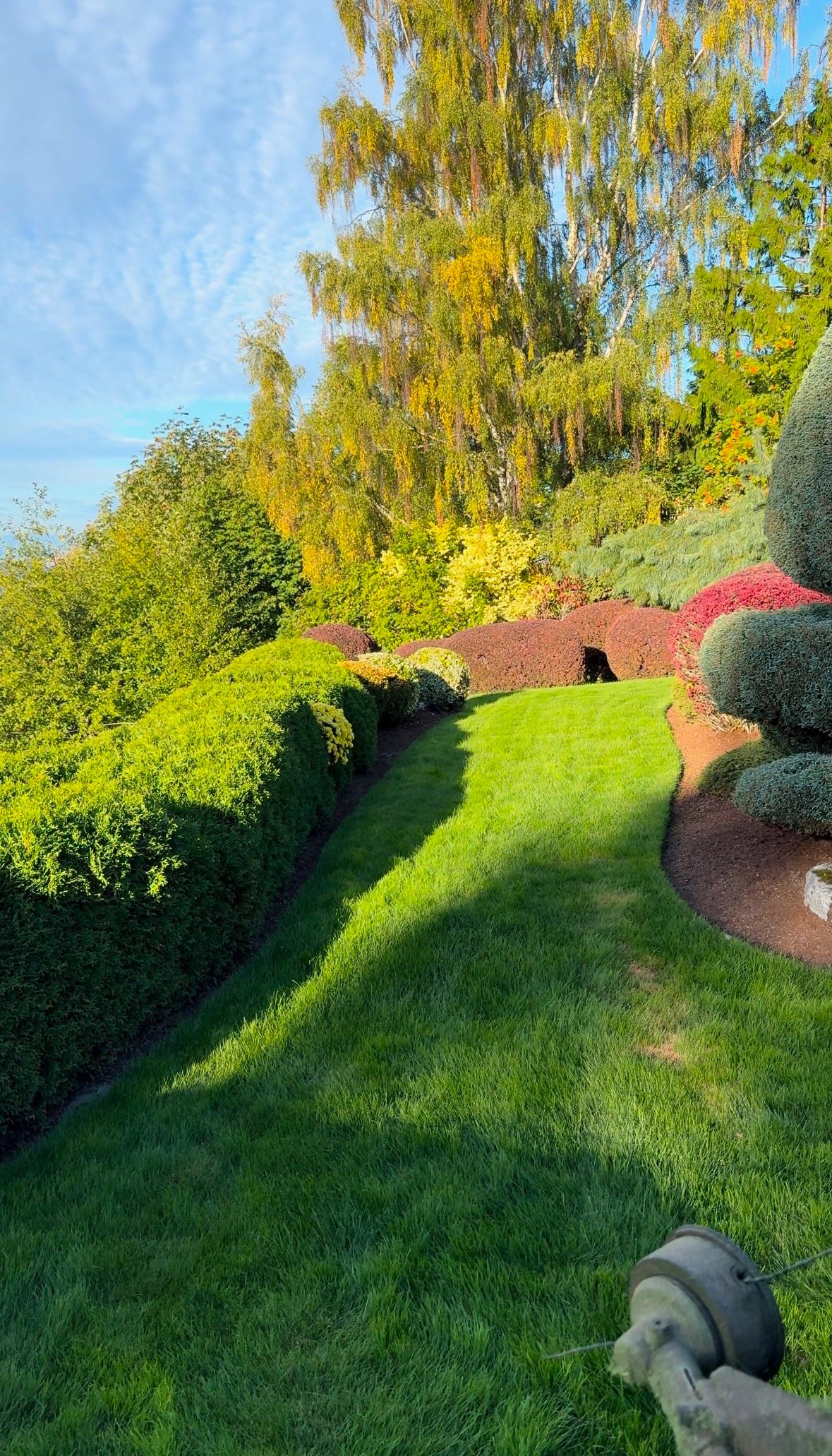 Lawn Care/Maintenance